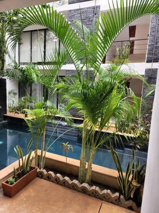 Amazing Jungle Retreat Lahkah Tulum Apartment ภายนอก รูปภาพ